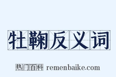 牡鞠反义词是什么意思的图片